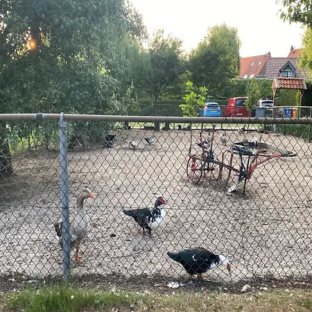 In Nieuwleusen Near And Nature, Cleaning Included
