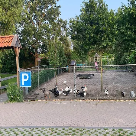 Prázdninový dům In Nieuwleusen Near And Nature, Cleaning Included *