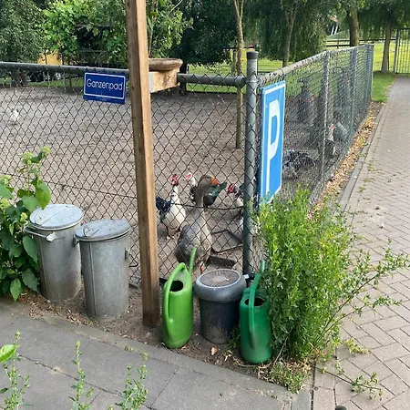 In Nieuwleusen Near And Nature, Cleaning Included * Bergen op Zoom