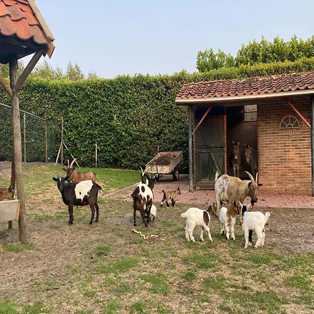 In Nieuwleusen Near And Nature, Cleaning Included *